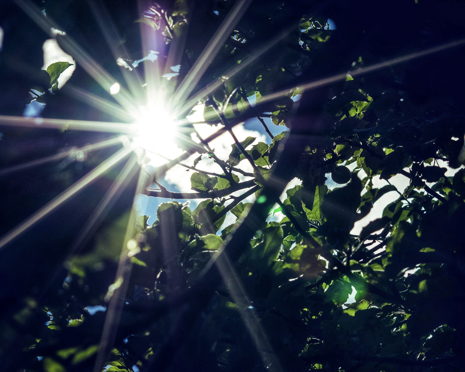 Not Done Yet: Menopause and the Fire to Rise